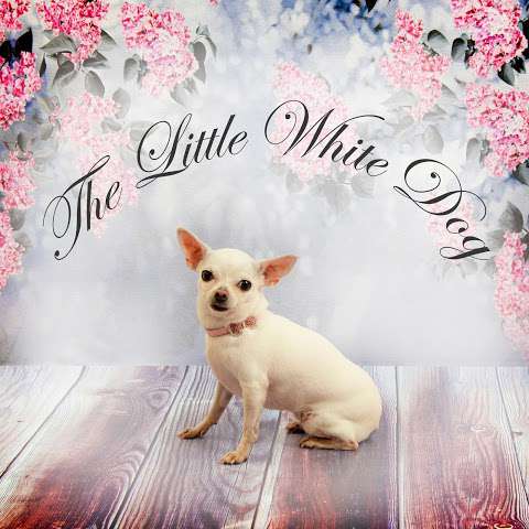 The Little White Dog Pet Shop photo